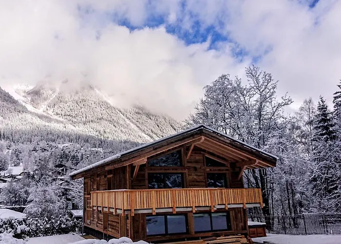 Des Amis Appt 2 - Year Chamonix